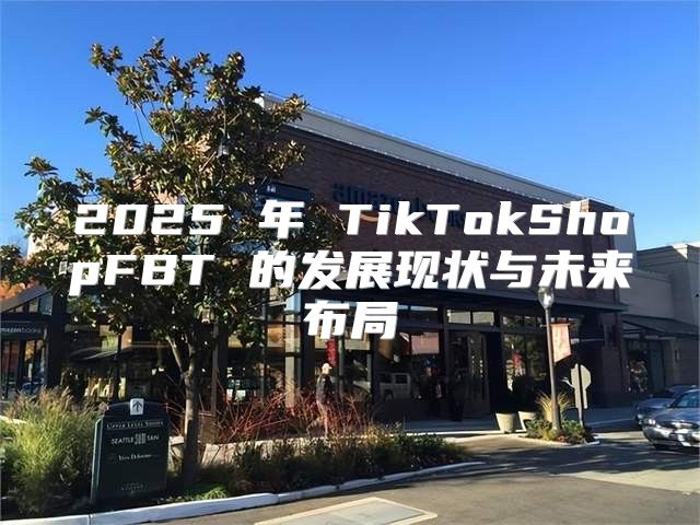 2025 年 TikTokShopFBT 的发展现状与未来布局