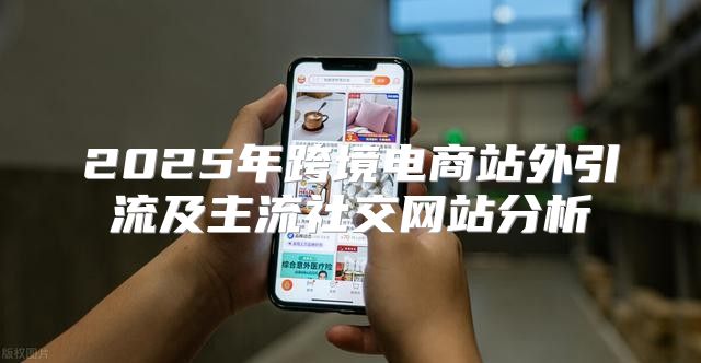 2025年跨境电商站外引流及主流社交网站分析