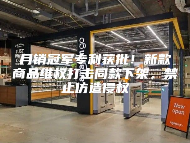 月销冠军专利获批！新款商品维权打击同款下架，禁止仿造侵权