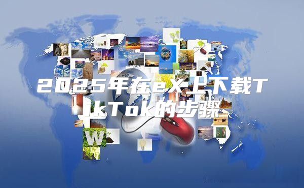 2025年在eX上下载TikTok的步骤