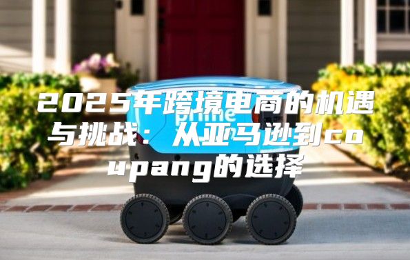 2025年跨境电商的机遇与挑战：从亚马逊到coupang的选择