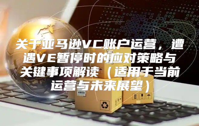 关于亚马逊VC账户运营，遭遇VE暂停时的应对策略与关键事项解读适用于当前运营与未来展望