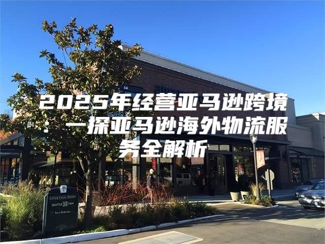 2025年经营亚马逊跨境：一探亚马逊海外物流服务全解析