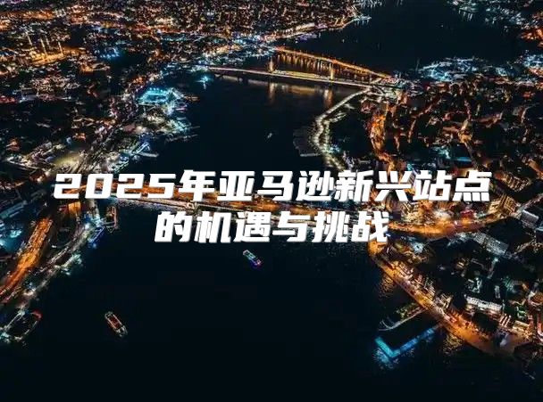 2025年亚马逊新兴站点的机遇与挑战