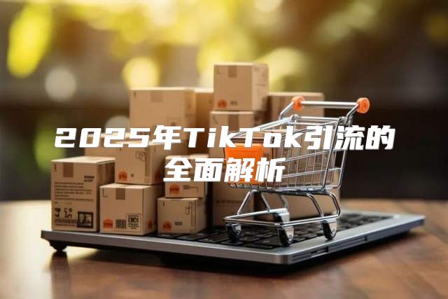 2025年TikTok引流的全面解析