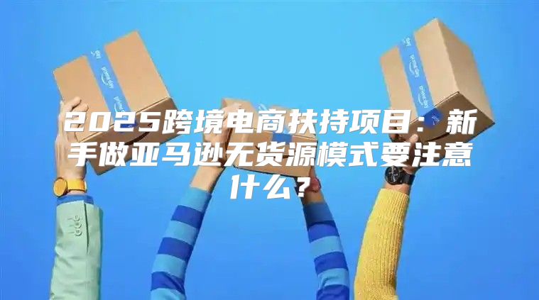 2025跨境电商扶持项目：新手做亚马逊无货源模式要注意什么？