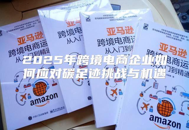 2025年跨境电商企业如何应对碳足迹挑战与机遇