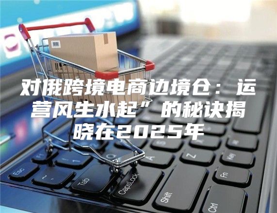 对俄跨境电商边境仓：运营风生水起”的秘诀揭晓在2025年