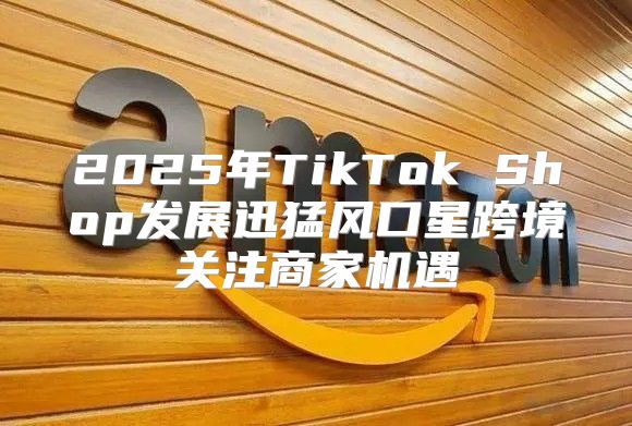 2025年TikTok Shop发展迅猛风口星跨境关注商家机遇