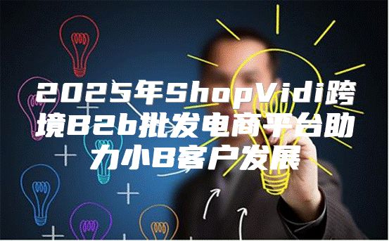 2025年ShopVidi跨境B2b批发电商平台助力小B客户发展