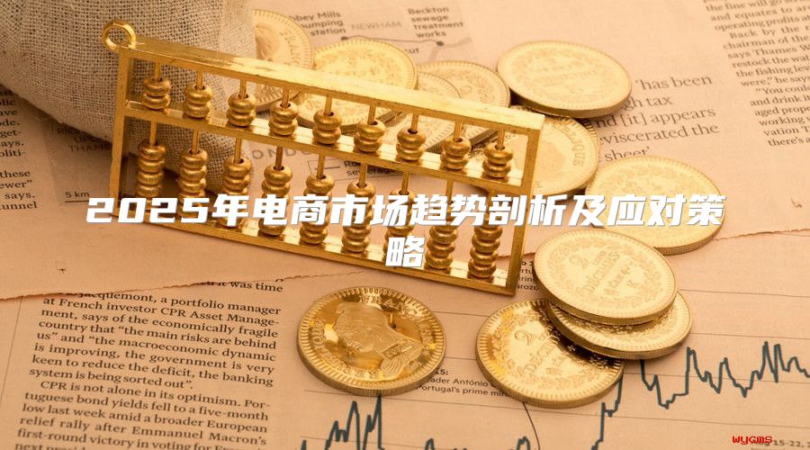 2025年电商市场趋势剖析及应对策略