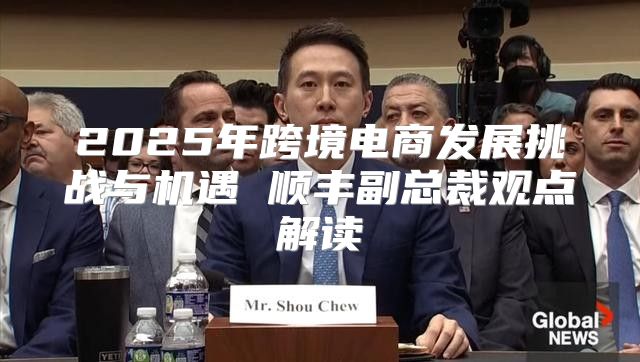 2025年跨境电商发展挑战与机遇 顺丰副总裁观点解读