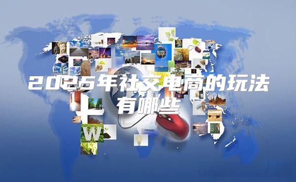 2025年社交电商的玩法有哪些