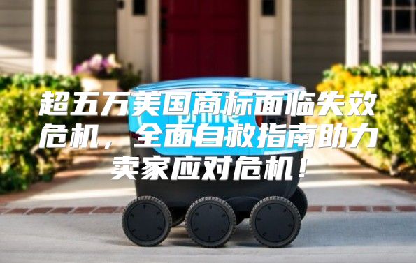 超五万美国商标面临失效危机，全面自救指南助力卖家应对危机！