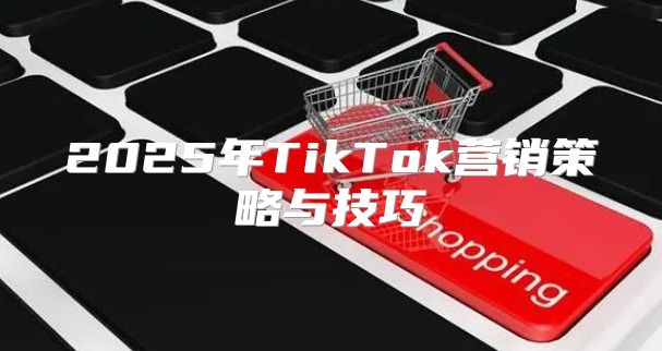 2025年TikTok营销策略与技巧