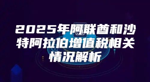 2025年阿联酋和沙特阿拉伯增值税相关情况解析