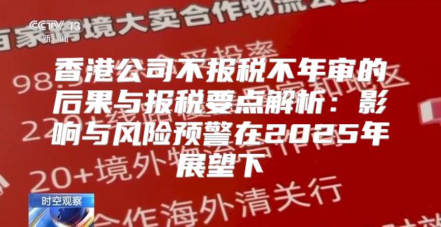 香港公司不报税不年审的后果与报税要点解析：影响与风险预警在2025年展望下