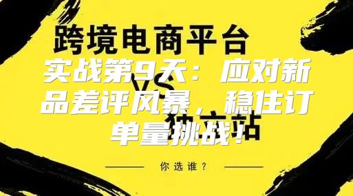 实战第9天：应对新品差评风暴，稳住订单量挑战！