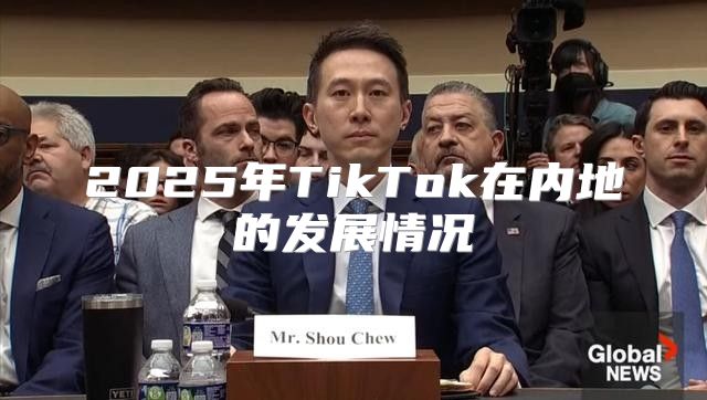 2025年TikTok在内地的发展情况