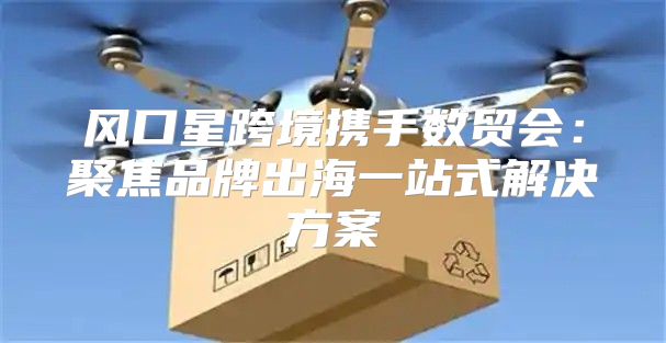 风口星跨境携手数贸会：聚焦品牌出海一站式解决方案