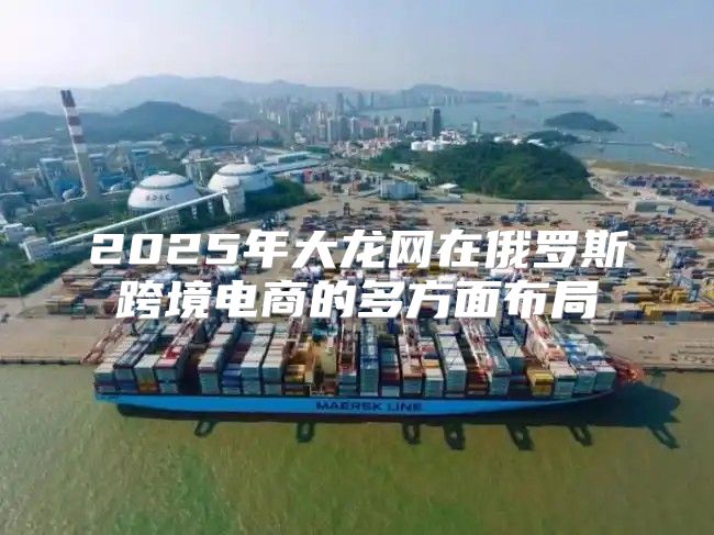 2025年大龙网在俄罗斯跨境电商的多方面布局