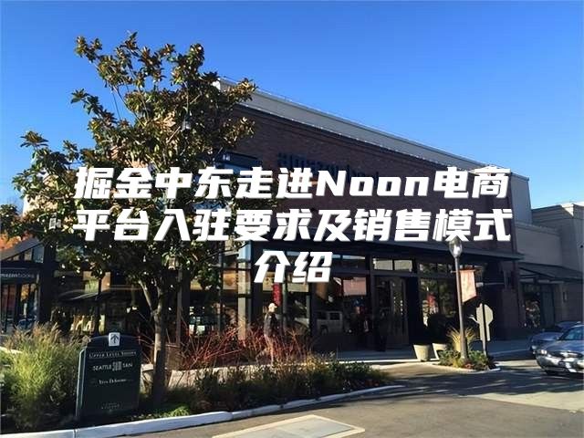 掘金中东走进Noon电商平台入驻要求及销售模式介绍