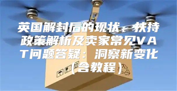 英国解封后的现状、扶持政策解析及卖家常见VAT问题答疑：洞察新变化含教程