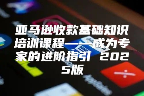 亚马逊收款基础知识培训课程——成为专家的进阶指引 2025版