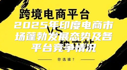 2025年印度电商市场蓬勃发展态势及各平台竞争情况