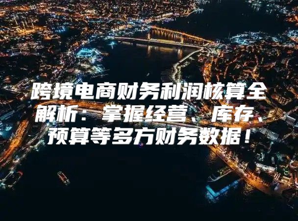 跨境电商财务利润核算全解析：掌握经营、库存、预算等多方财务数据！