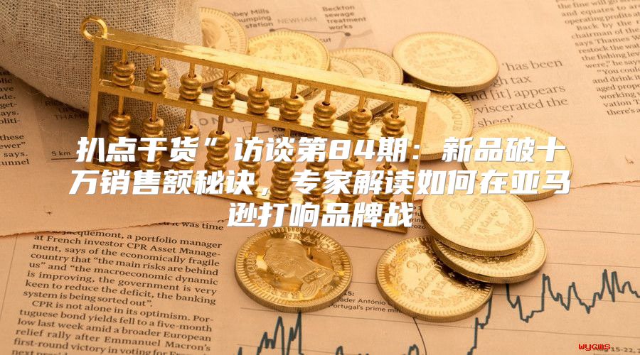 扒点干货”访谈第84期：新品破十万销售额秘诀，专家解读如何在亚马逊打响品牌战