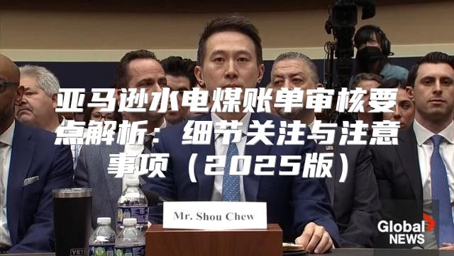 亚马逊水电煤账单审核要点解析：细节关注与注意事项2025版