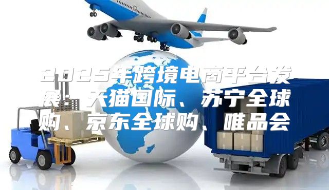 2025年跨境电商平台发展：天猫国际、苏宁全球购、京东全球购、唯品会