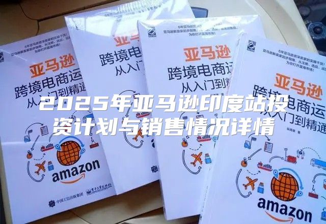 2025年亚马逊印度站投资计划与销售情况详情