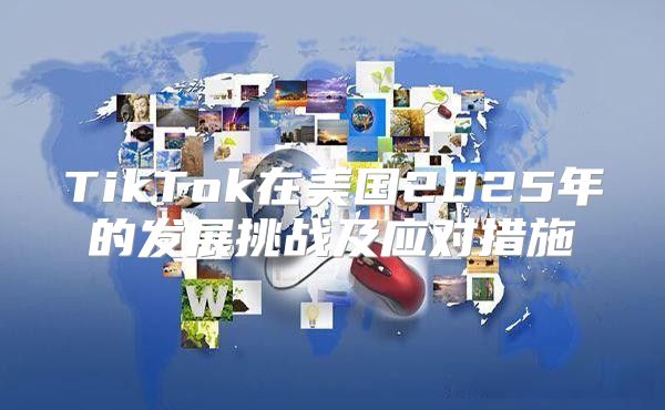 TikTok在美国2025年的发展挑战及应对措施