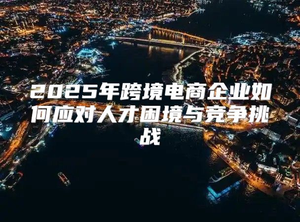 2025年跨境电商企业如何应对人才困境与竞争挑战