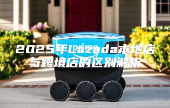 2025年Lazada本地店与跨境店的区别解析