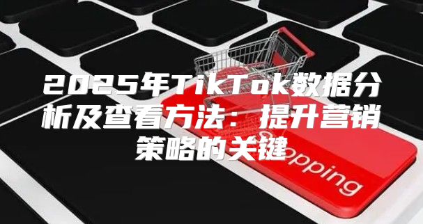 2025年TikTok数据分析及查看方法：提升营销策略的关键