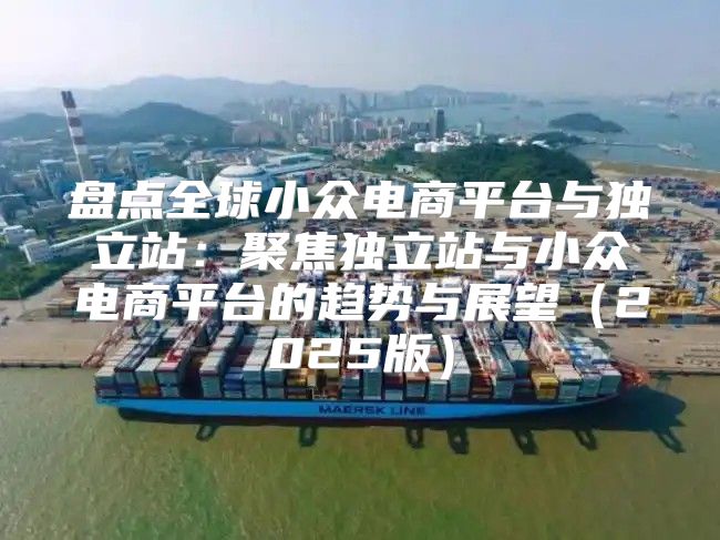 盘点全球小众电商平台与独立站：聚焦独立站与小众电商平台的趋势与展望2025版