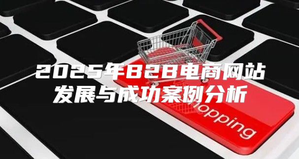 2025年B2B电商网站发展与成功案例分析