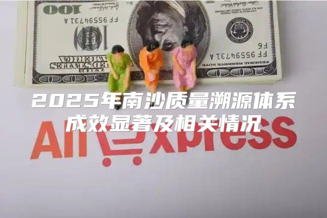 2025年南沙质量溯源体系成效显著及相关情况