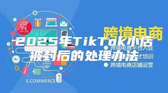 2025年TikTok小店被封后的处理办法