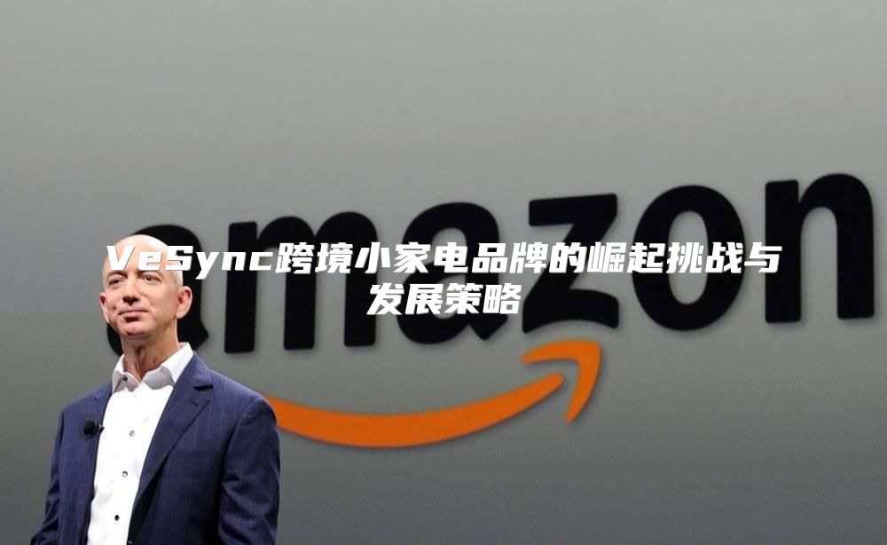 VeSync跨境小家电品牌的崛起挑战与发展策略