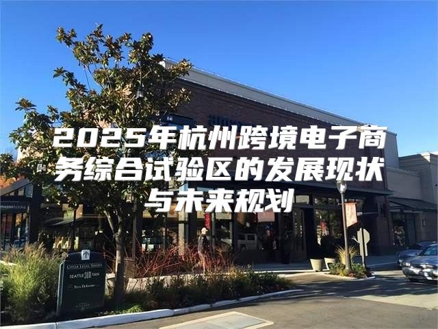 2025年杭州跨境电子商务综合试验区的发展现状与未来规划