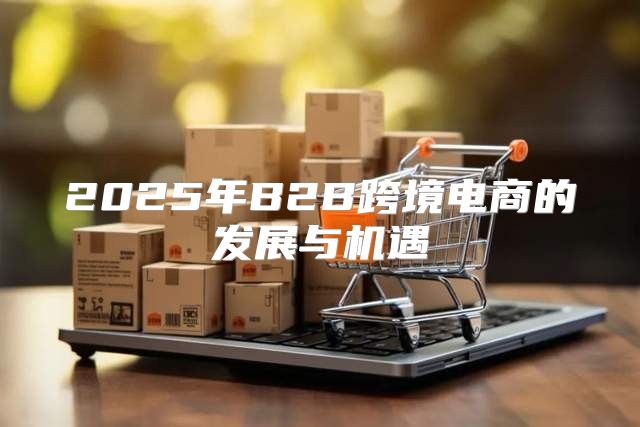 2025年B2B跨境电商的发展与机遇