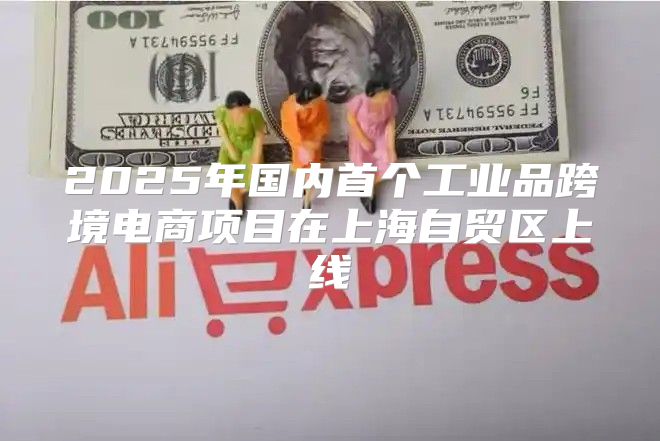 2025年国内首个工业品跨境电商项目在上海自贸区上线