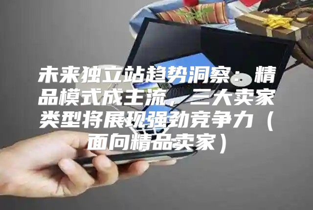 未来独立站趋势洞察：精品模式成主流，三大卖家类型将展现强劲竞争力面向精品卖家