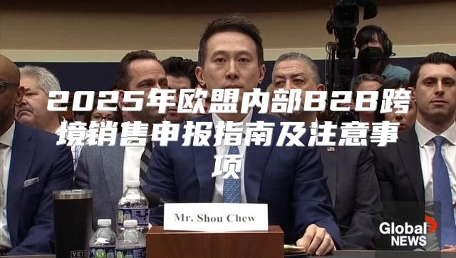 2025年欧盟内部B2B跨境销售申报指南及注意事项