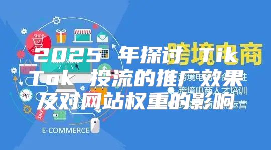 2025 年探讨 TikTok 投流的推广效果及对网站权重的影响