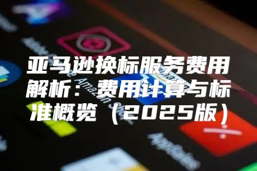 亚马逊换标服务费用解析：费用计算与标准概览2025版